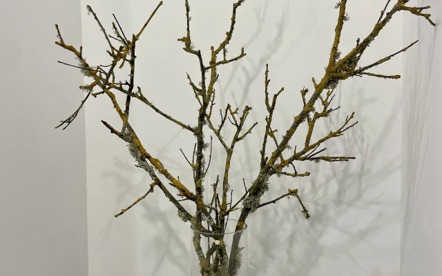 Квартира  Кранц Сити