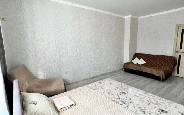 Квартира на Александра Покрышкина 4/9 (282)