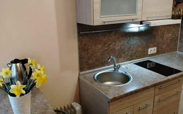 Muzeyny 1 U Rechki Private house