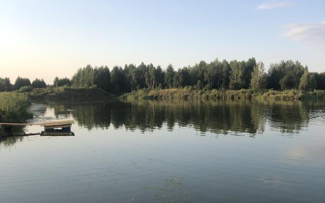 Гостевой дом Дом у леса