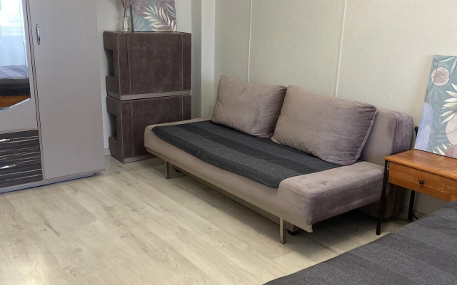 Квартира 1-к на Сурикова 53