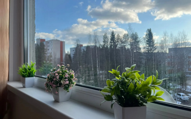 Апартаменты DaRent Karelia на Советской 6