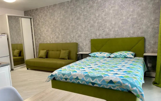 Studio na ulice Raketnaya 17 Apartments (3)