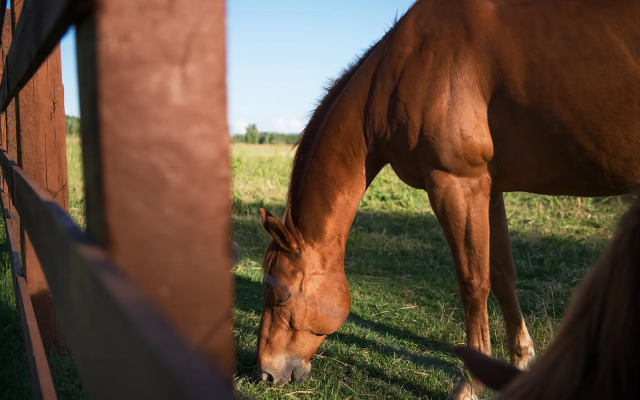 Отель Relai Sassa al Sole
