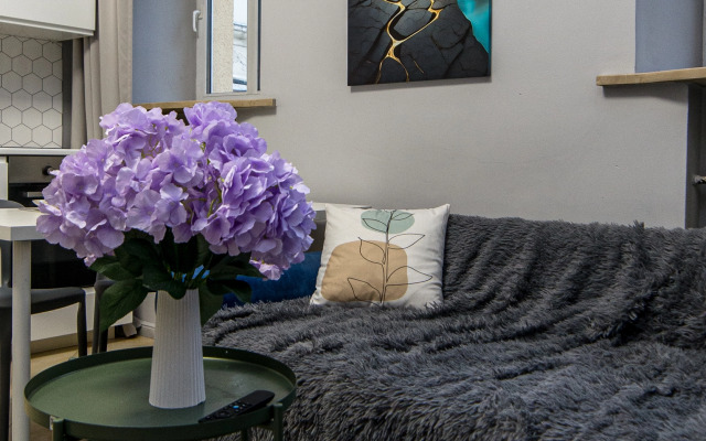 Апартаменты Жуковского 1/2/10 с2 (109)