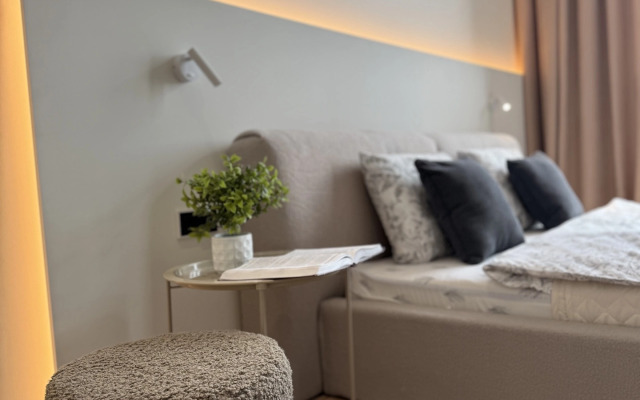 Квартира Люкс Площадь Искусств