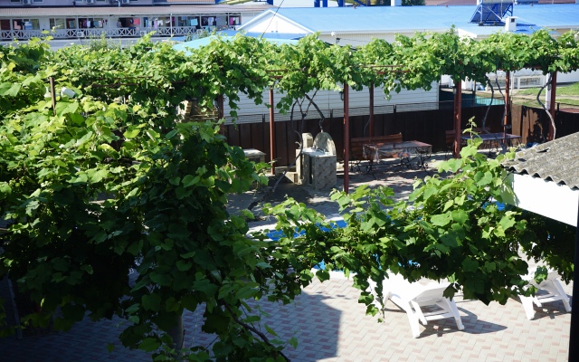 Nadezhda Guest house