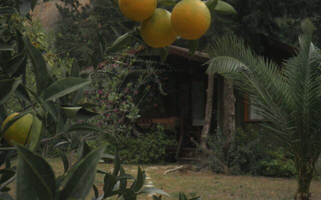 Kibala Hotel 