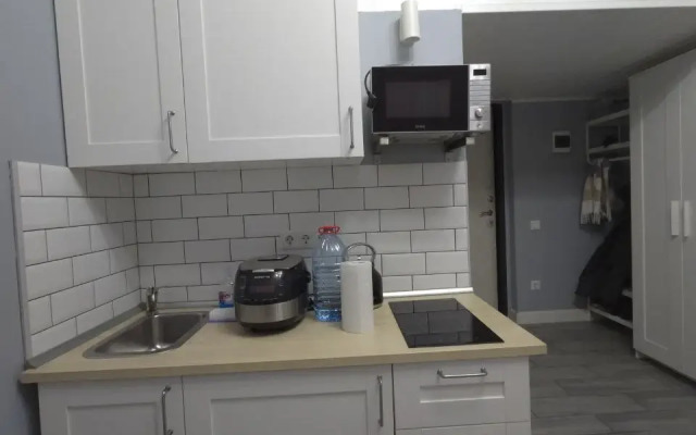 Uyutnaya studiya na Talalikhina Flat