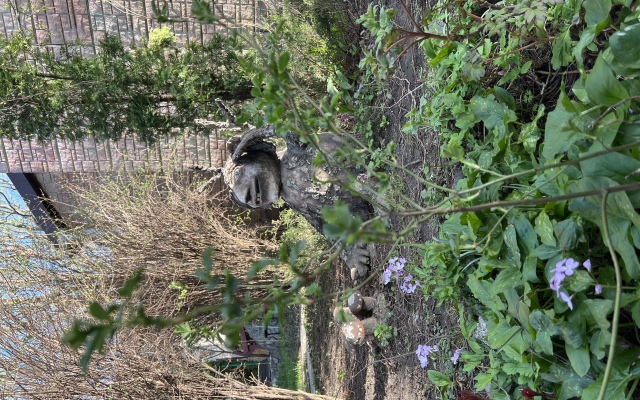 Mihajlovskie Bani