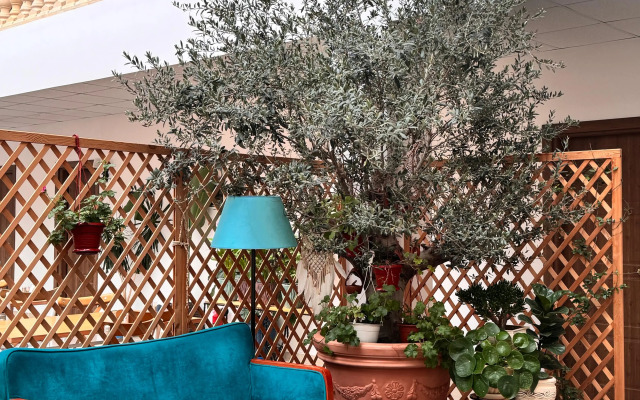 Lucette Guest House