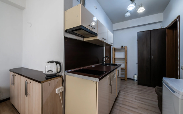 plot - Byudzhetnye s balkonom 10 Apartments