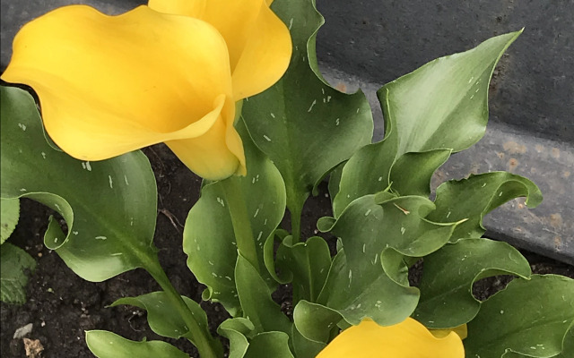 Квартира на Кленовой 2А