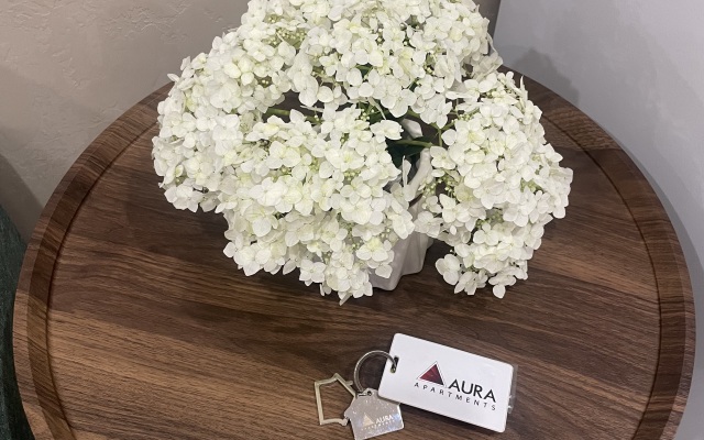 V ZK Aura Flat