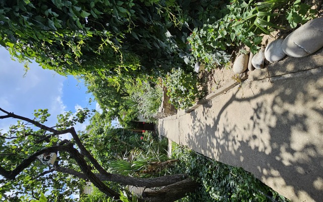 Yanaky Guest House