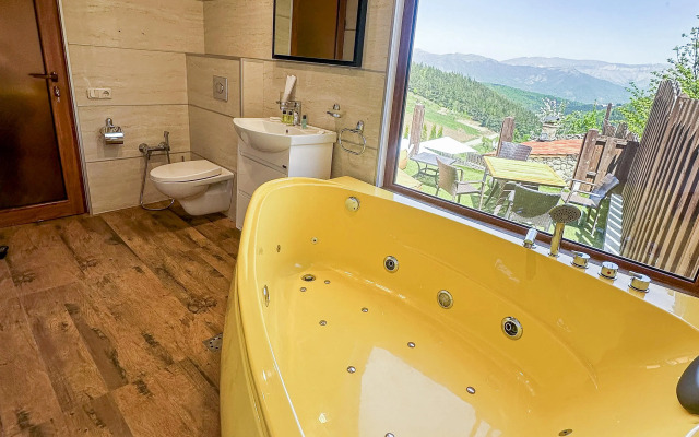 Hotel Alpine Castle