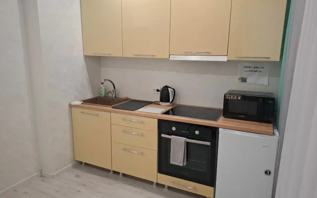 Odnokomnatnaya na Vlasikhinskoy Flat