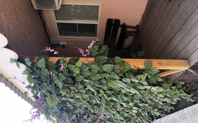 Na beregu Volgi Guest house