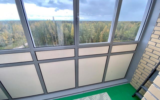 Studiya Zelenaya v Pesochnom flat
