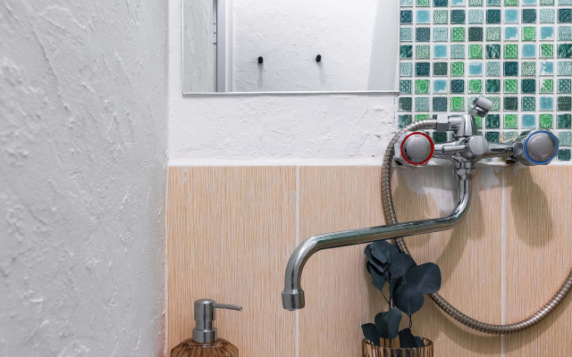 Petrogradka 1 Flat