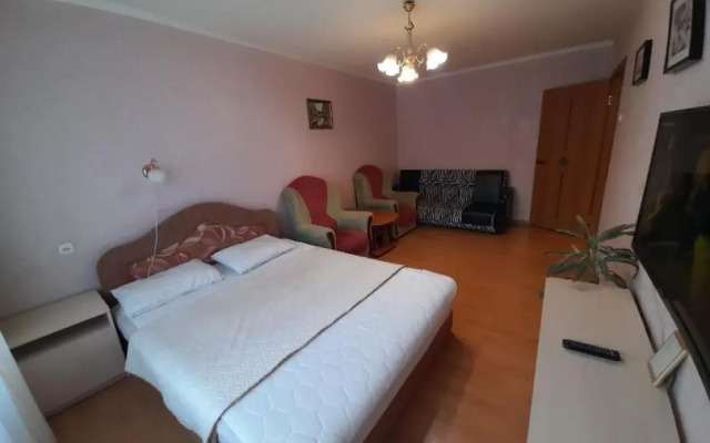 Апартаменты с 1 комнатой с красивым видом на город (КВАРТИРА51)