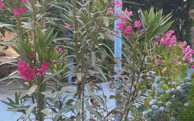 Гостевой дом Морская сказка