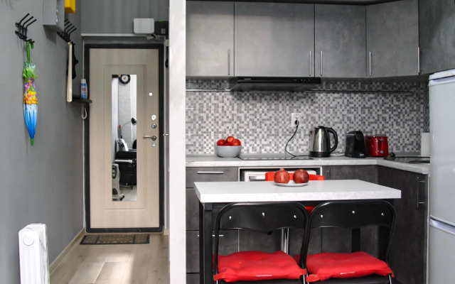 Квартира студия с видом на канал Грибоедова