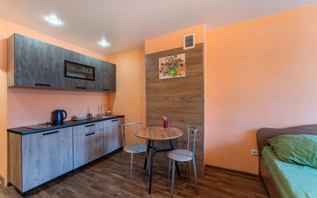 Апартаменты Студия Ленинский район