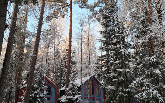 Частный дом в Заветах Ильича с розовой гостиной