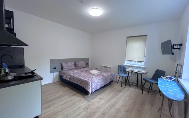Maxi Na Maloy Zelenovskoy Apartments