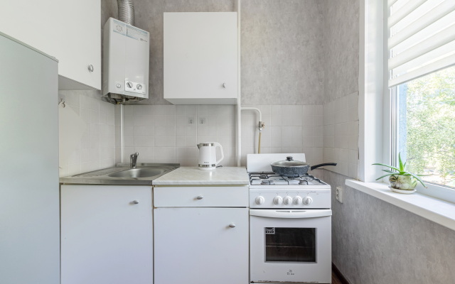 Ls Chasha i Tsentr Semyi Flat