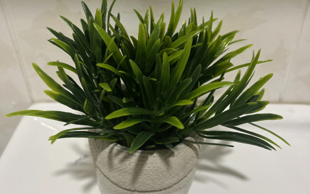 Квартира Чистая однокомнатная квартира  с видом на горы