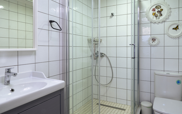 Apartments Pushkin