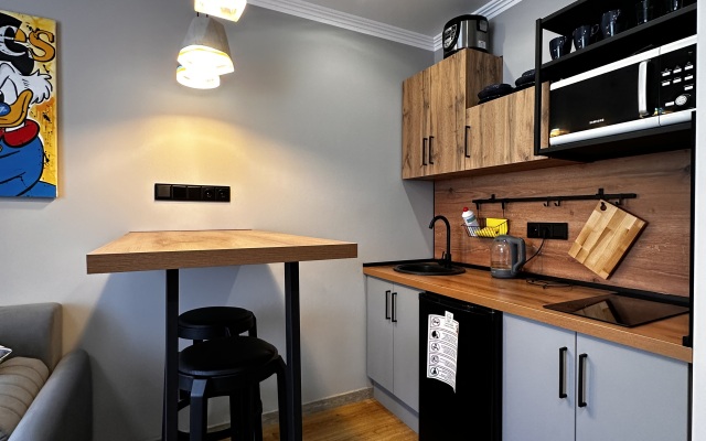 Studiya V Stile Loft Flat
