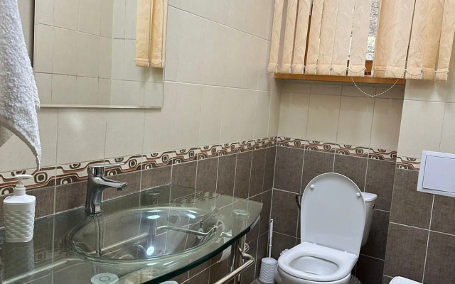 Частный дом Ласточка