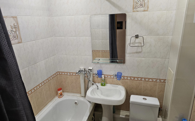 Апартаменты Центр Воронежа , Около Галереи Чижова