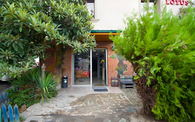 Lotus Hotel