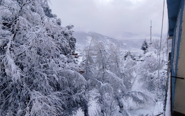 Nature Retreat Hotel