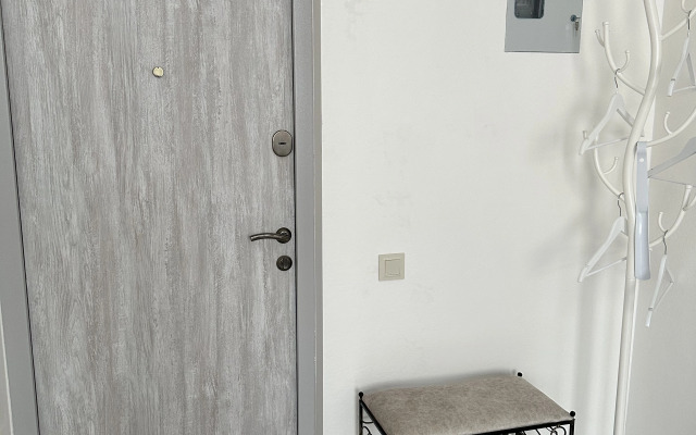 Uyutnaya v Sovremennom Stile Flat