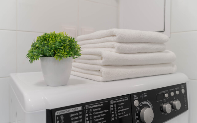Ivolga Cozy Aparts na Volge Flat