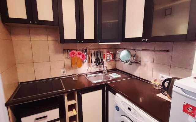 Апартаменты  Милана на улице  Пулковской