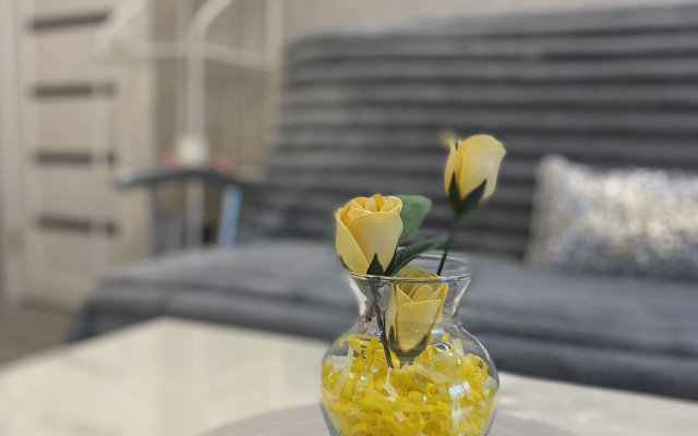 Queen Rooms Apartments