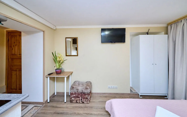 Апартаменты 4-я Советская 25 (2)