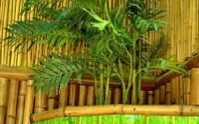 Гостевой дом Bamboo