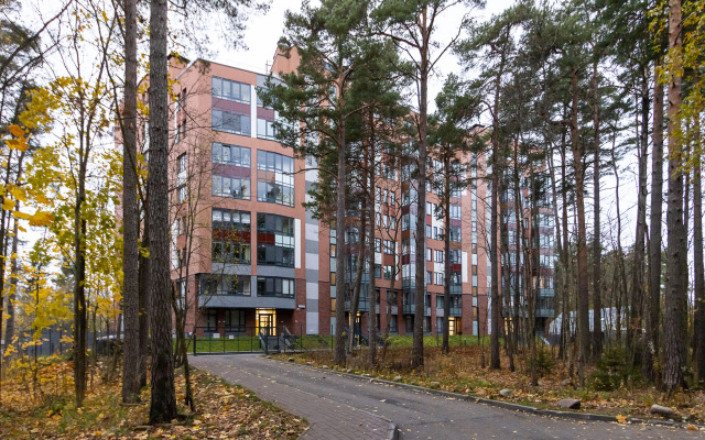 Квартира Ютно Колосья с качелью на балконе и видом на сосны в Зеленогорске