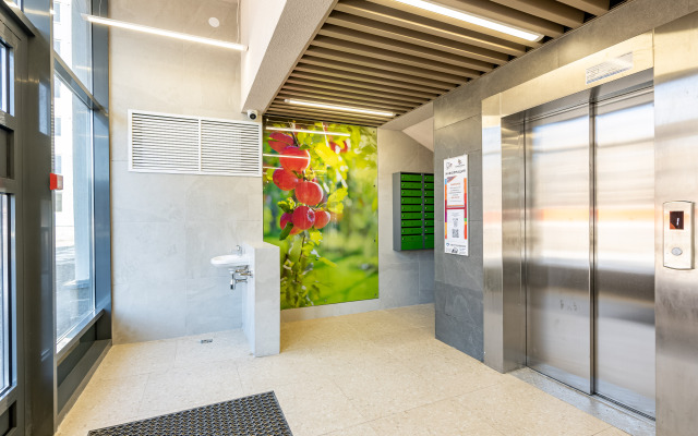 Classic Studio V Yanino Flat