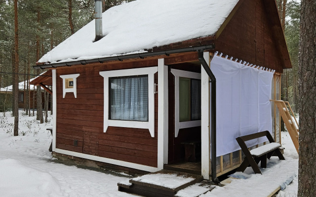 Ilyinka v Karelii Private house