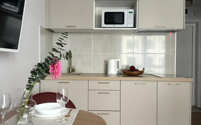 Квартира Уютная студия рядом с Невским проспектом