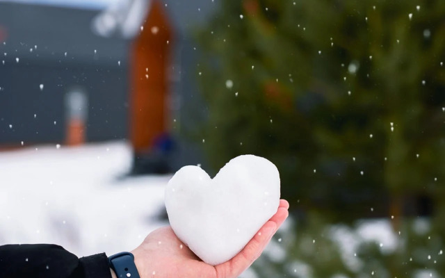 Отель Арт-кэмп Дикая Мята