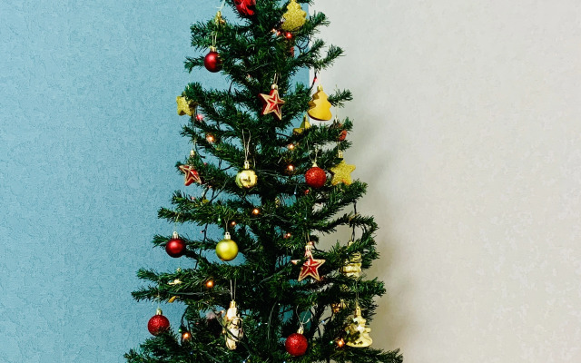 Апартаменты Argentum Home Дудинская 2